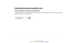 Preview of the photographer's website