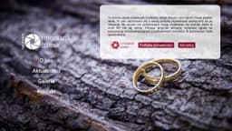 Preview of the photographer's website