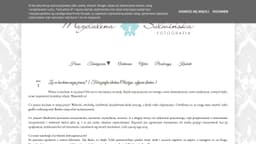 Preview of the photographer's website