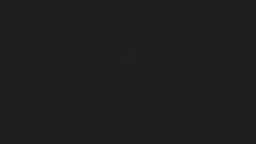 Preview of the photographer's website