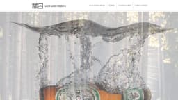 Preview of the photographer's website
