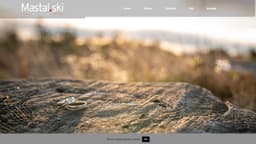 Preview of the photographer's website