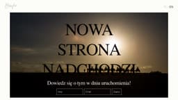 Podgląd strony internetowej fotografa