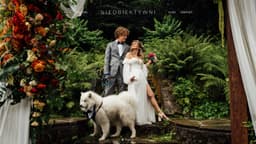 Preview of the photographer's website