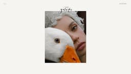 Preview of the photographer's website
