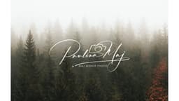 Preview of the photographer's website