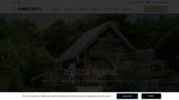 Preview of the photographer's website
