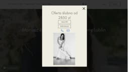 Preview of the photographer's website