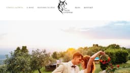 Preview of the photographer's website