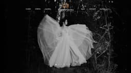 Preview of the photographer's website