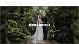 Preview of the photographer's website