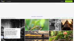 Podgląd strony internetowej fotografa