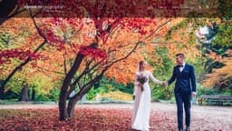 Preview of the photographer's website