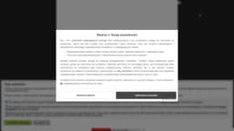 Preview of the photographer's website