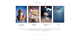 Preview of the photographer's website