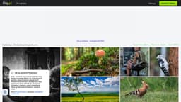 Podgląd strony internetowej fotografa