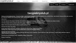 Preview of the photographer's website