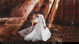 Preview of the photographer's website