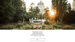Preview of the photographer's website