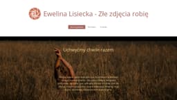 Preview of the photographer's website
