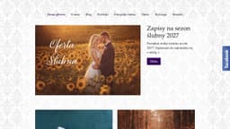 Preview of the photographer's website