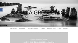 Preview of the photographer's website