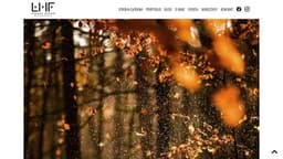 Preview of the photographer's website