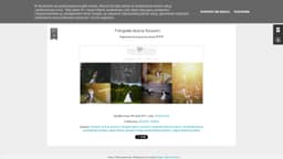 Preview of the photographer's website