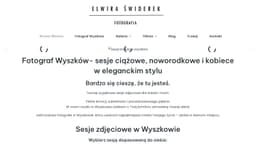 Preview of the photographer's website