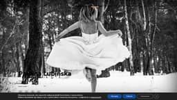 Preview of the photographer's website