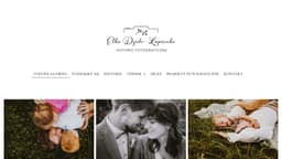 Preview of the photographer's website