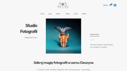 Preview of the photographer's website