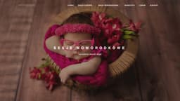 Preview of the photographer's website