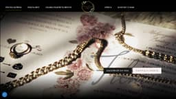 Preview of the photographer's website