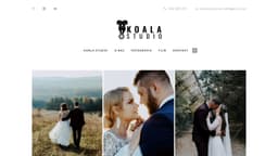 Preview of the photographer's website