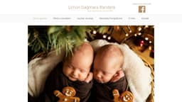 Preview of the photographer's website