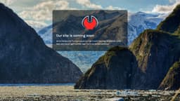 Preview of the photographer's website