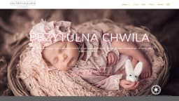 Preview of the photographer's website