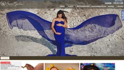 Preview of the photographer's website
