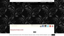 Preview of the photographer's website