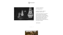 Preview of the photographer's website