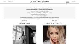 Preview of the photographer's website