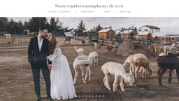 Preview of the photographer's website
