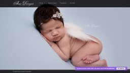 Preview of the photographer's website